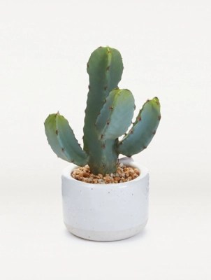 Artificial Cactus in Pot 22cm Home at ASDA