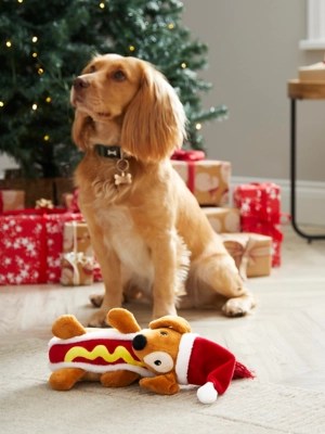 Christmas Hot Dog Pet Toy Home at ASDA