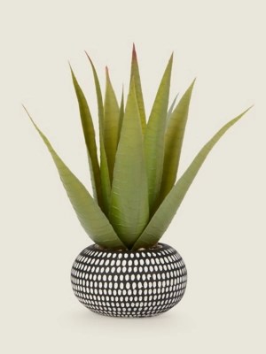 Artificial Aloe Plant in a Black & White Dimple Pot Home at ASDA