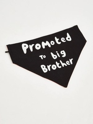 Promoted To Slogan Bandana Dog Collars Home at ASDA