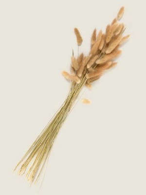 Natural Bunny Tails Home at ASDA