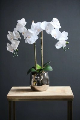 54cm Real Touch Orchid in Silver Pot Home at ASDA
