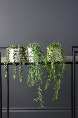 Set of 3 Trailing Plants in Matte White Ceramic Pots Home at