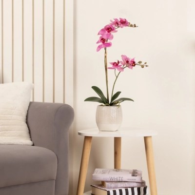 52cm Real Touch 2Stem Phalaenopsis Orchid Home at ASDA