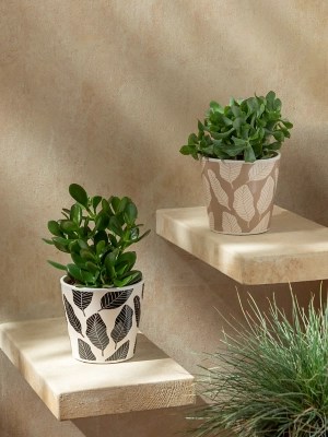 Sahara Print Plant Pot Set of 2 Outdoor & Garden at ASDA