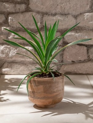 Brown Wooden Plant Pot Outdoor & Garden at ASDA