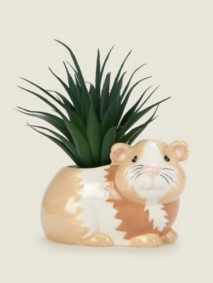 Guinea Pig Artificial Succulent Home at ASDA