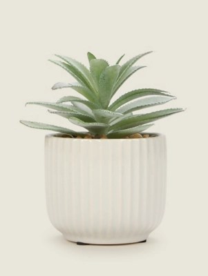 Artificial Aloe in Ribbed Pot Home at ASDA