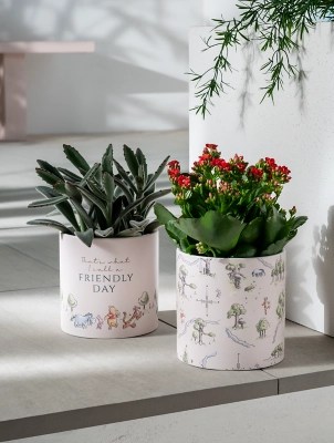 Disney Winnie the Pooh Planter Set of 2 Outdoor & Garden