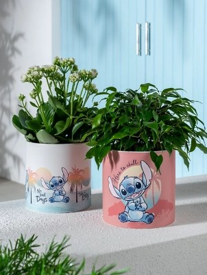 Disney Stitch Planter Set of 2 Outdoor & Garden at ASDA