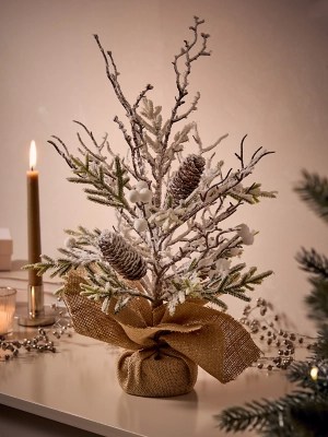 Christmas Pot Plant In Hessian Decoration Christmas at ASDA