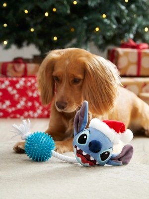 Disney Stitch Pet Toy Home at ASDA