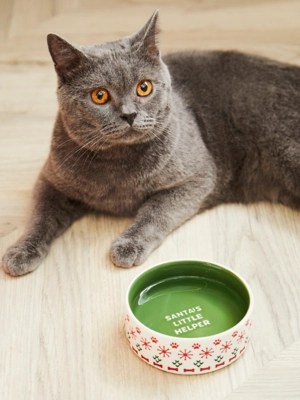 Santa's Little Helper Christmas Cat Pet Bowl Home at ASDA