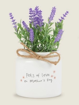 Pots Of Love Mother’s Day Faux Plant Home at ASDA