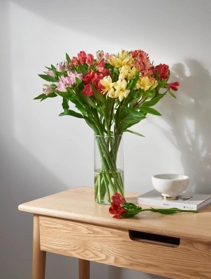 Fresh Flowers Rainbow Alstroemeria Home at ASDA