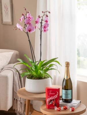Fresh Flowers Mother's Day Orchid & Fern (Gift Options Available