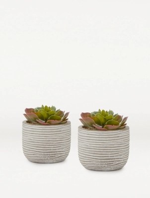 Artificial Succulent In Textured Cement Pot 11.5cm Set of 2