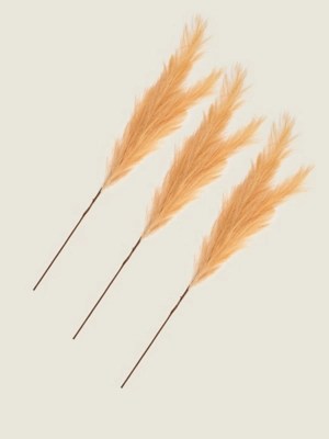 Pink Pampas Stem Set of 3 at ASDA
