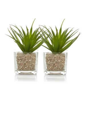 Spiky Succulent Plant Pot 2 pack at ASDA