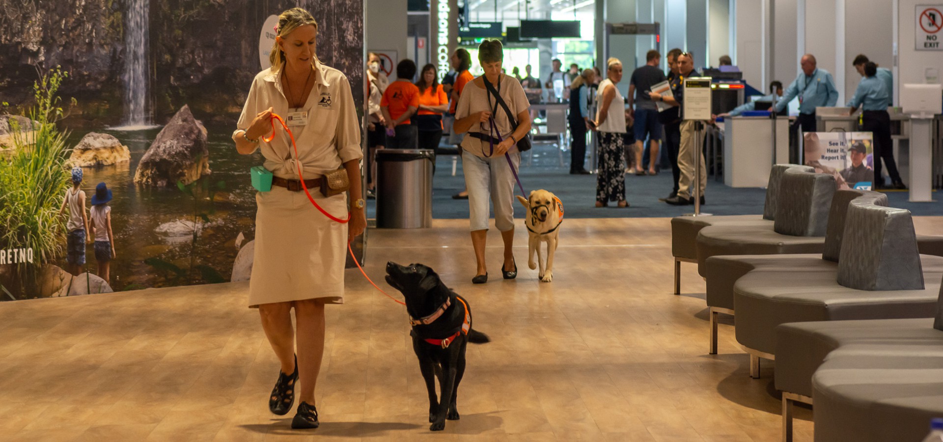 Assistance Dogs North Queensland