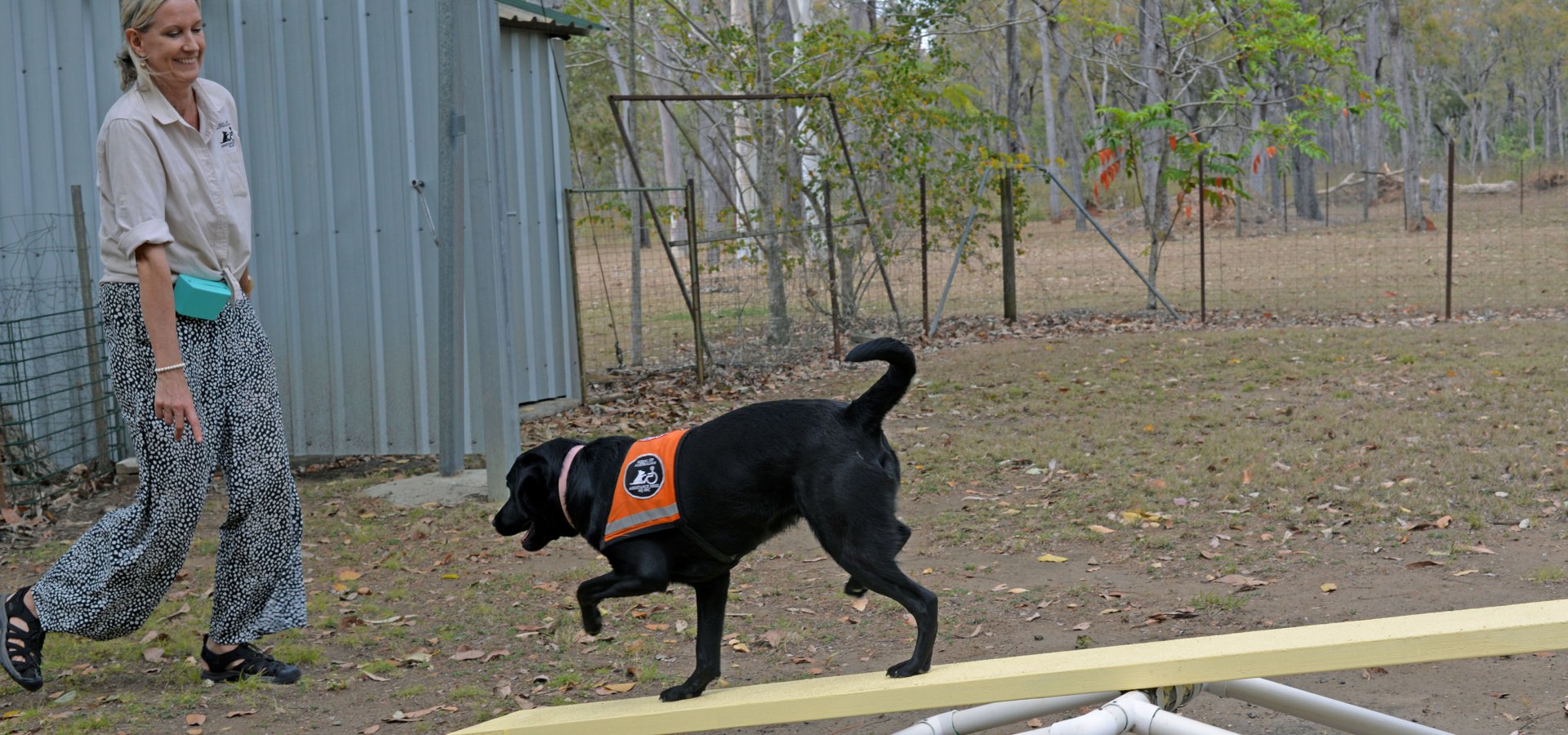 Assistance Dogs North Queensland