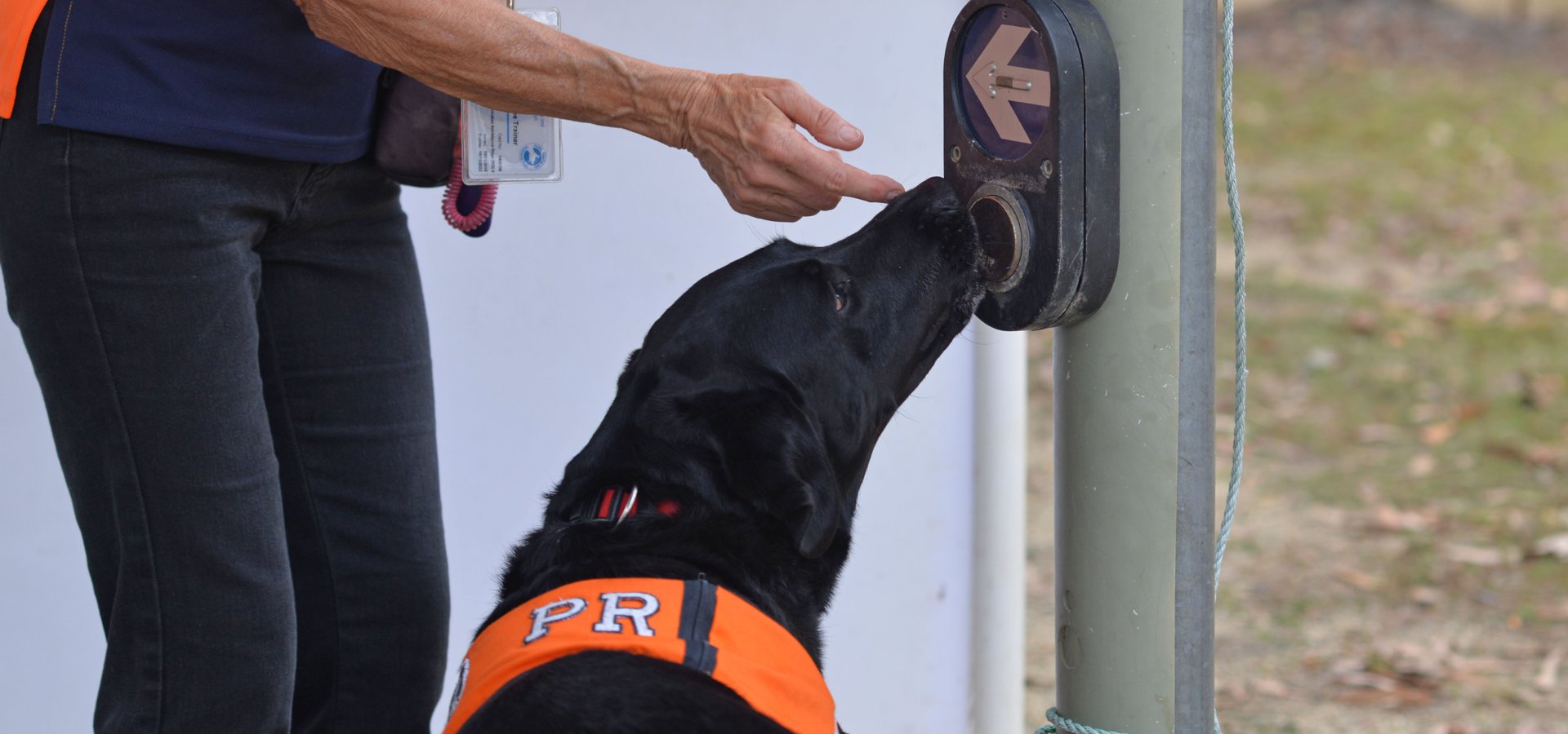 Assistance Dogs North Queensland