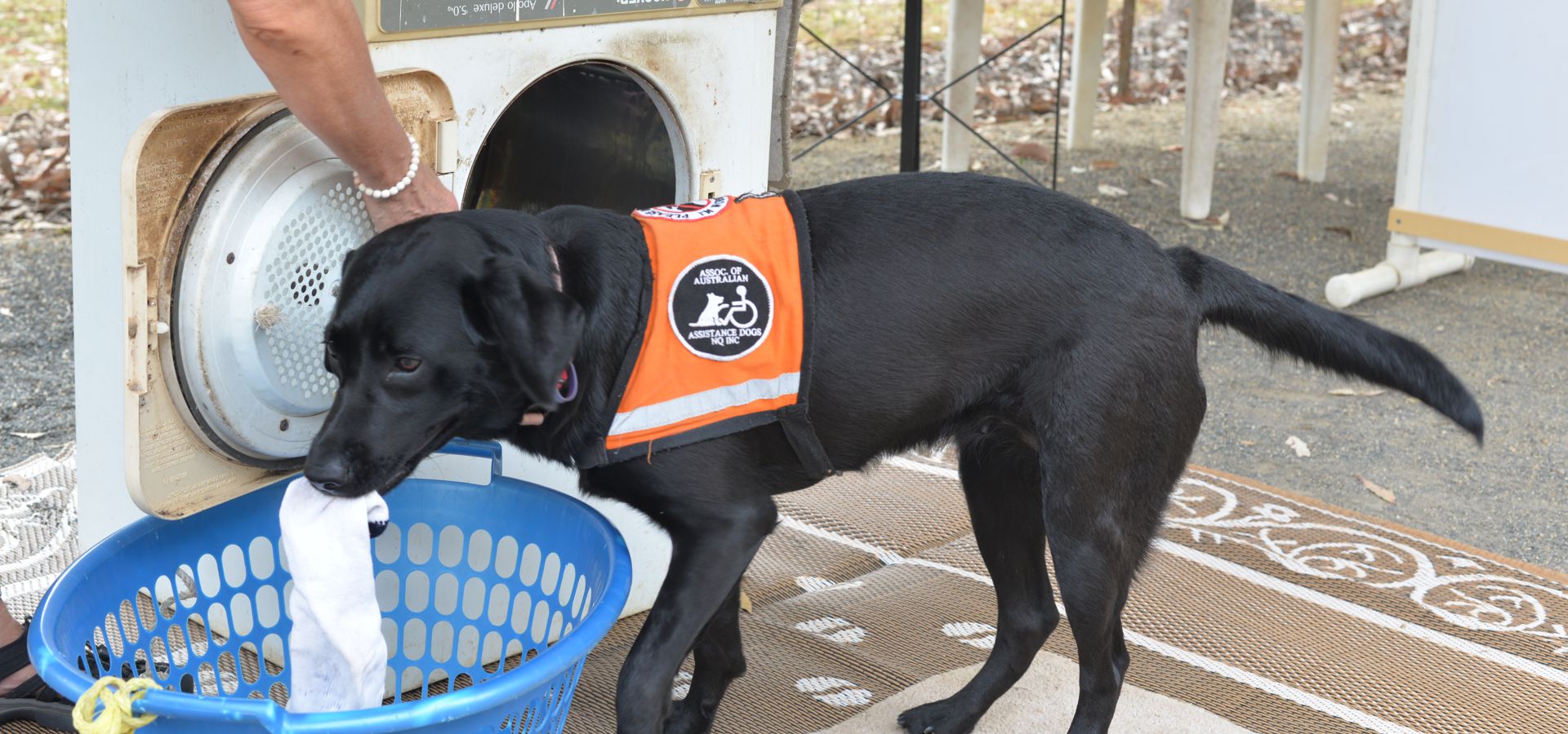 Assistance Dogs North Queensland