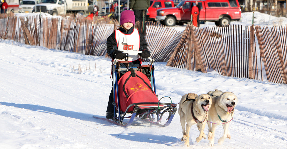 wordpress Alaskan Sled Dog & Racing Association wordpress Alaskan Sled Dog & Racing Association