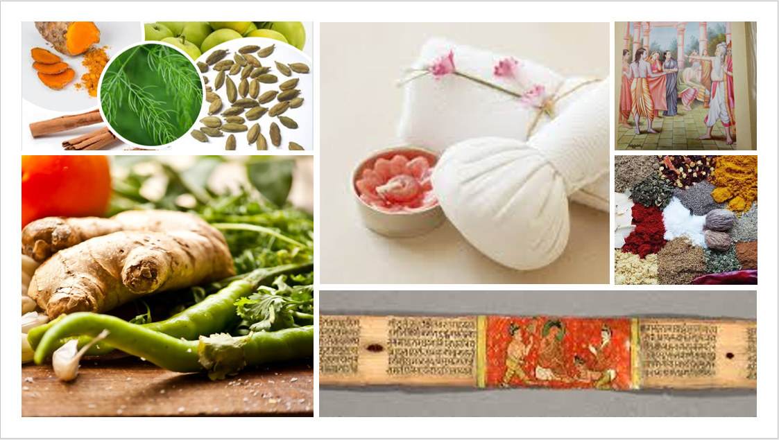 AYURVEDA AND VEDIC COUNSELING WHAT IS THE RELATIONSHIP? ASEEMA