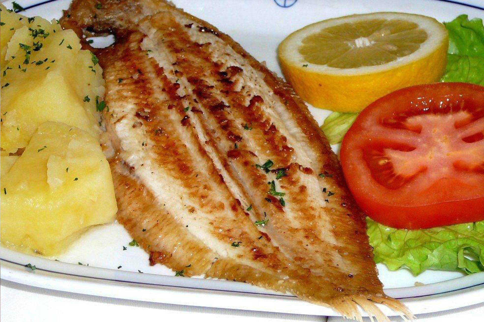Lenguado Tigre Asefes