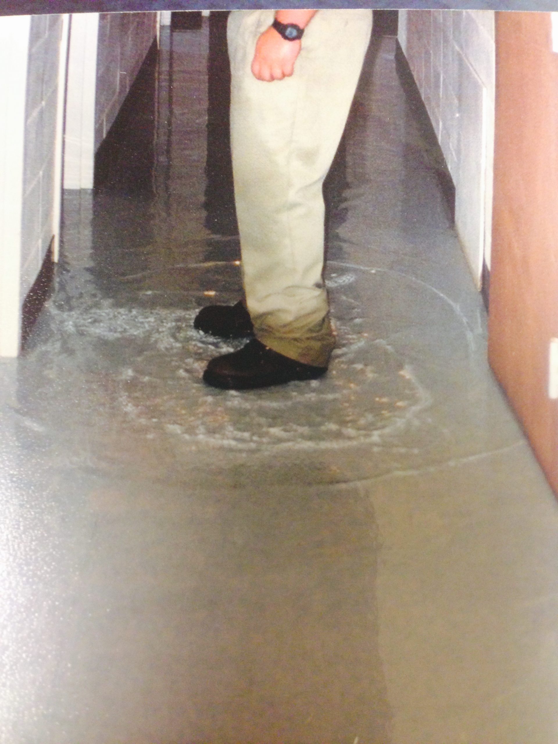 water damage clean floors clean carpet, carpet cleaning jackson ms