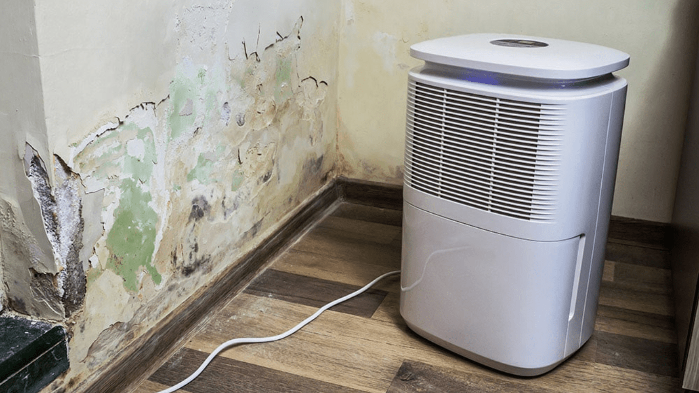 The Top 5 Mistakes People Make When Buying Air Purifiers For Mold
