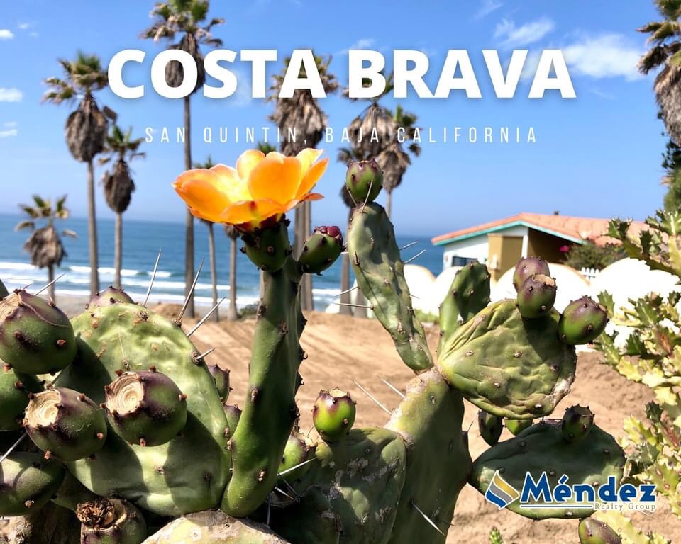 Costa Brava, Baja California Mexico 🌊 Mendez Realty Group