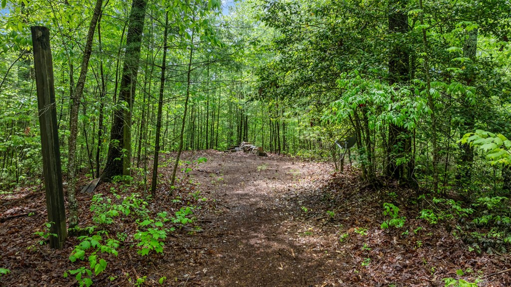 362 CAJUN LN,Ellijay,GA, US Blue Ridge, / Home for Sale North