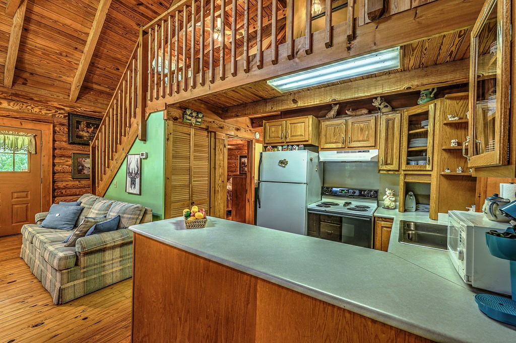 347 Ford Road,Warne,NC, US Blue Ridge, / Home for Sale North