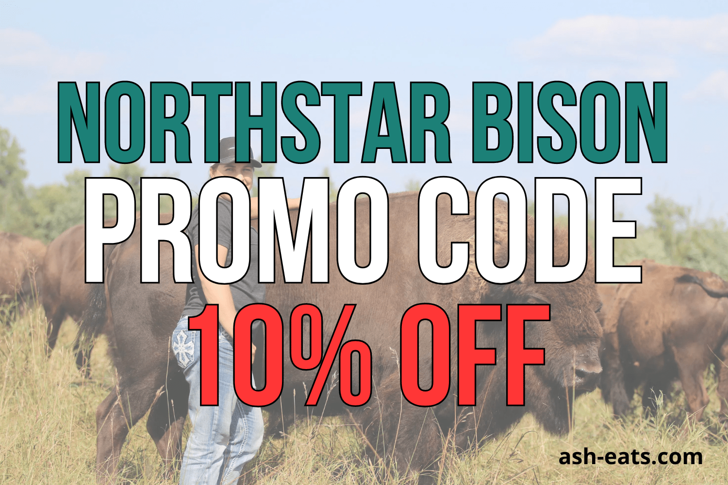 Northstar Bison Promo Code ASHLEYR for 10 Off Your Order