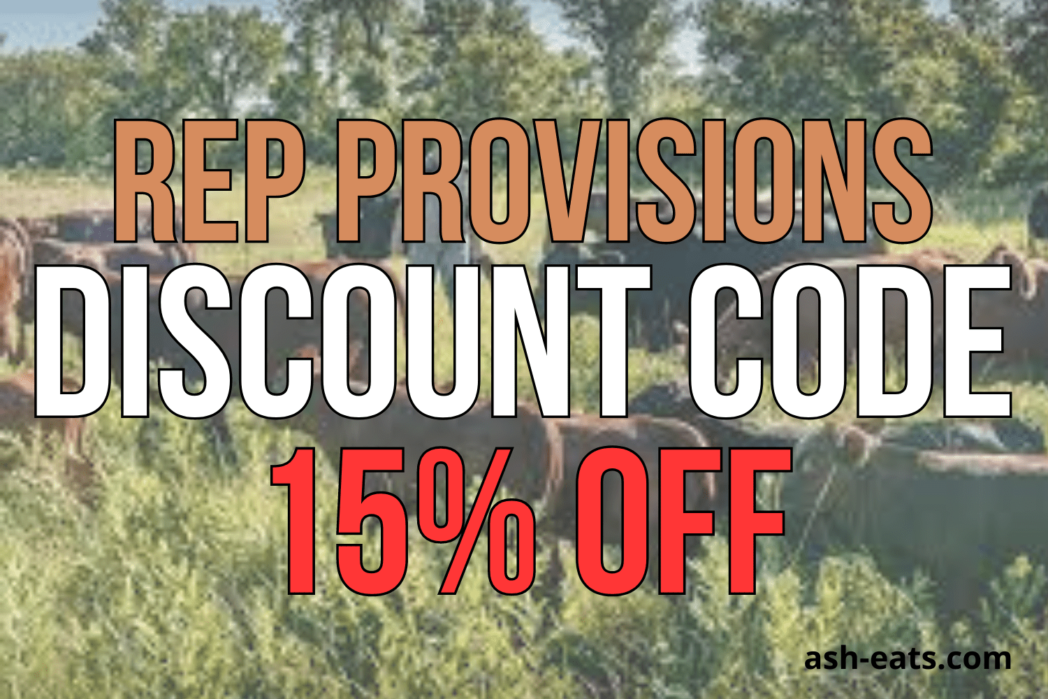 REP Provisions Discount Code ASHLEYR for 15 Off
