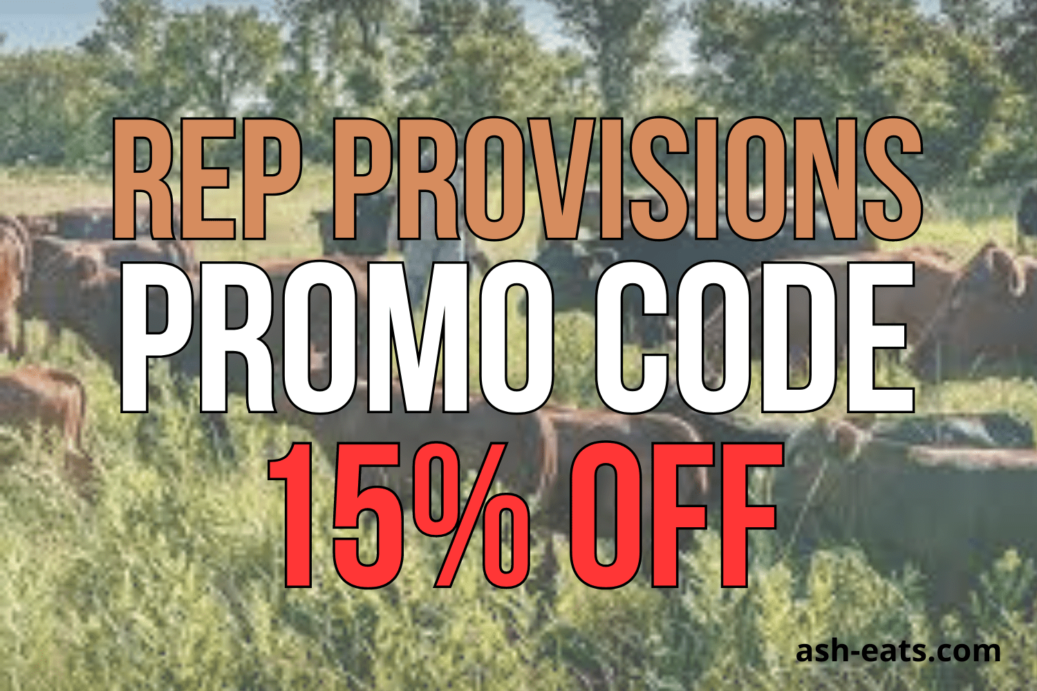 REP Provisions Promo Code ASHLEYR for 15 Off