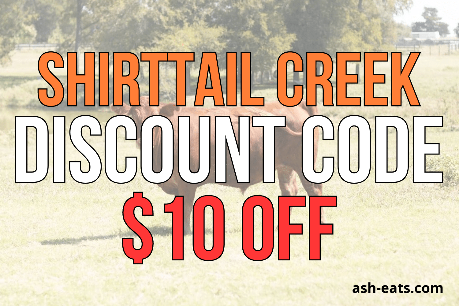Shirttail Creek Discount Code ASHLEYR for 10 Off