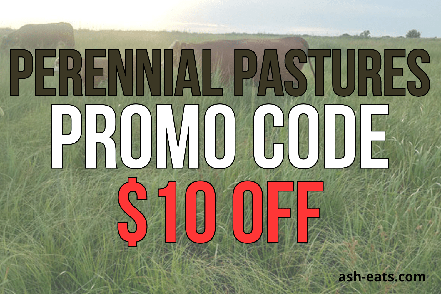 Perennial Pastures Ranch Promo Code ASHLEYR for 10 Off