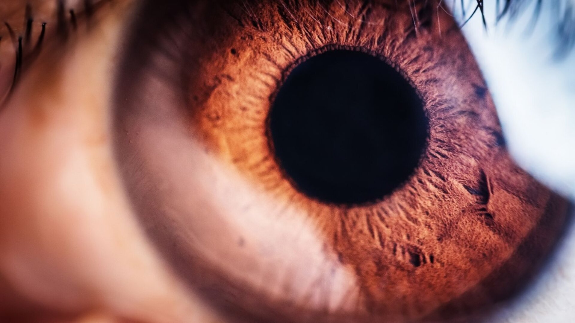 Smoking and Eye Disease ASH