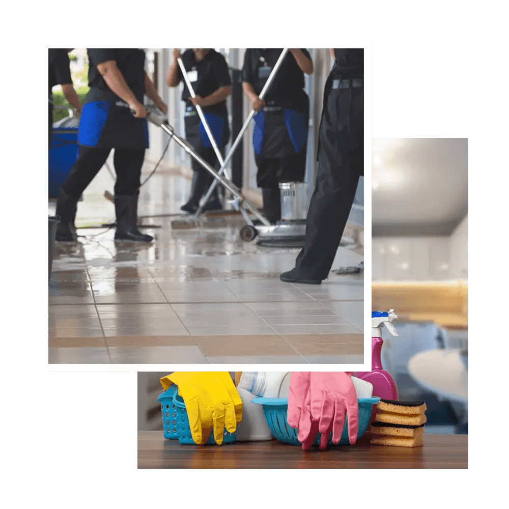 Carpet Cleaning Ashburn VA Carpet Cleaning Ashburn