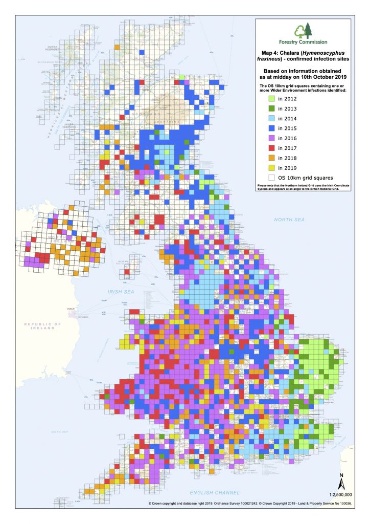 Ash Tree Europe Map Ash Dieback in the UK and Ireland Ash Dieback All You Need To Know