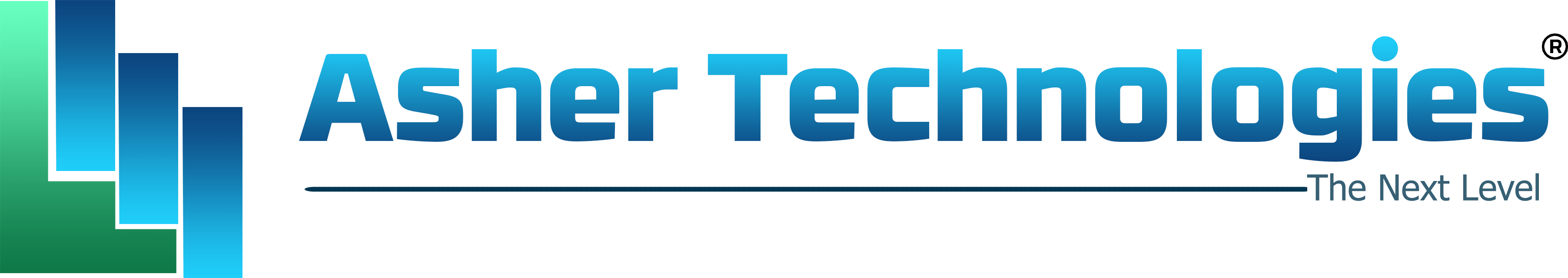 Asher Technologies The Next Level