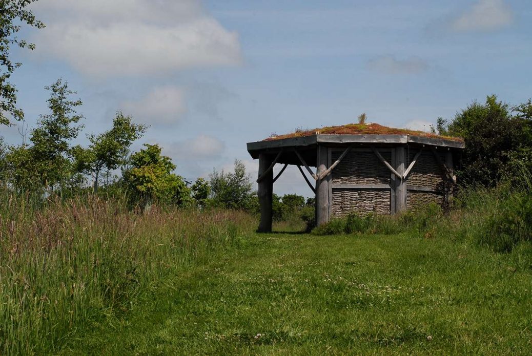 Beer Cross Woodland Burials, Natural Burial Ground, Okehampton Ashes