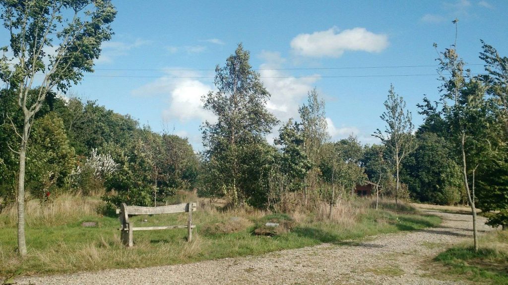 Crossways Woodland Burials, Natural Burial Ground, Cheriton