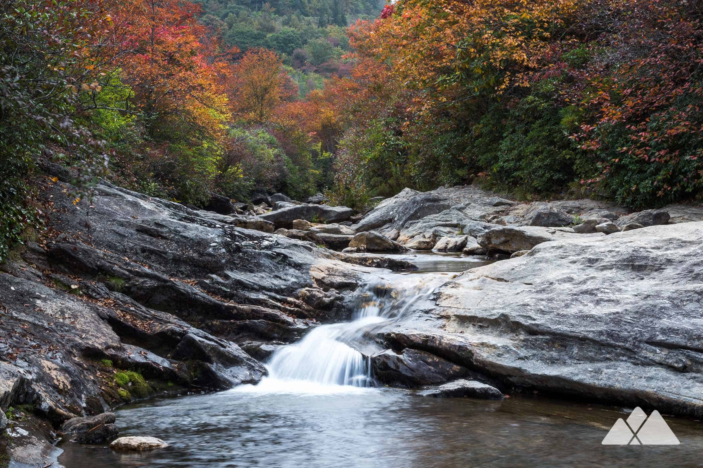 Graveyard Fields Loop Trail Asheville Trails