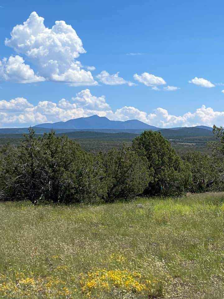 Ash Fork Land For Sale Real Estate Homes & Lands Ashforkland