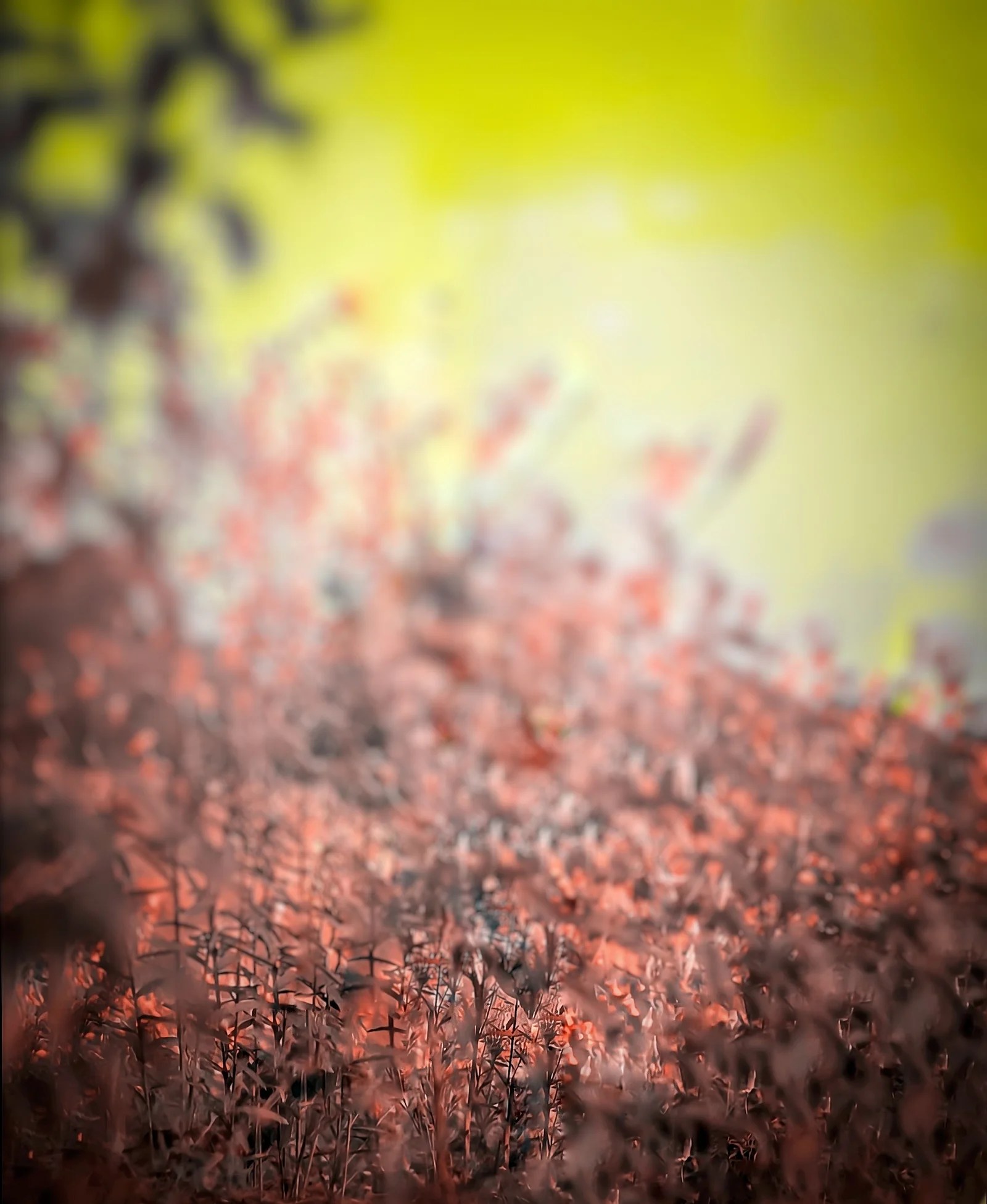 Background Images For Editing free download