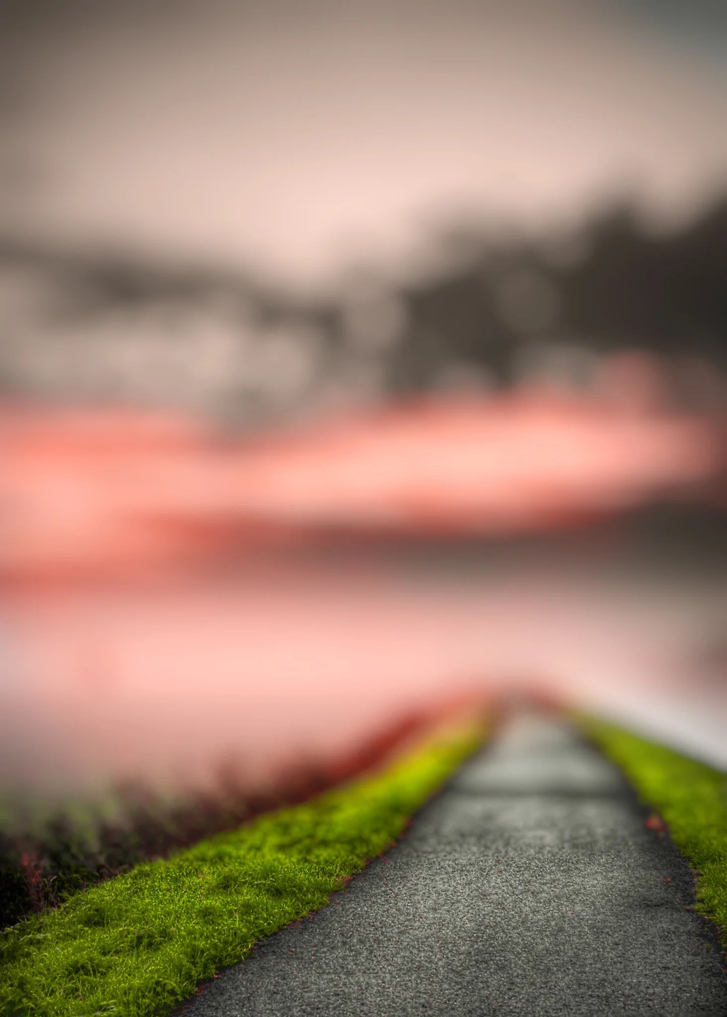 Details 300 picsart hd background download Abzlocal.mx